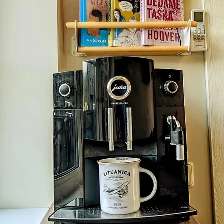 Apartament Palanga Inn Połąga